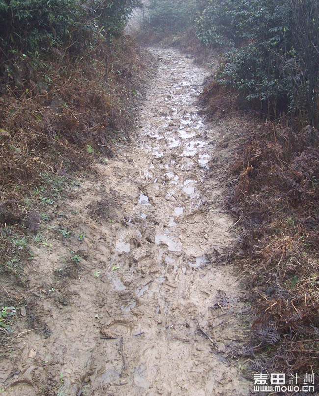 四川马边 麦想之旅