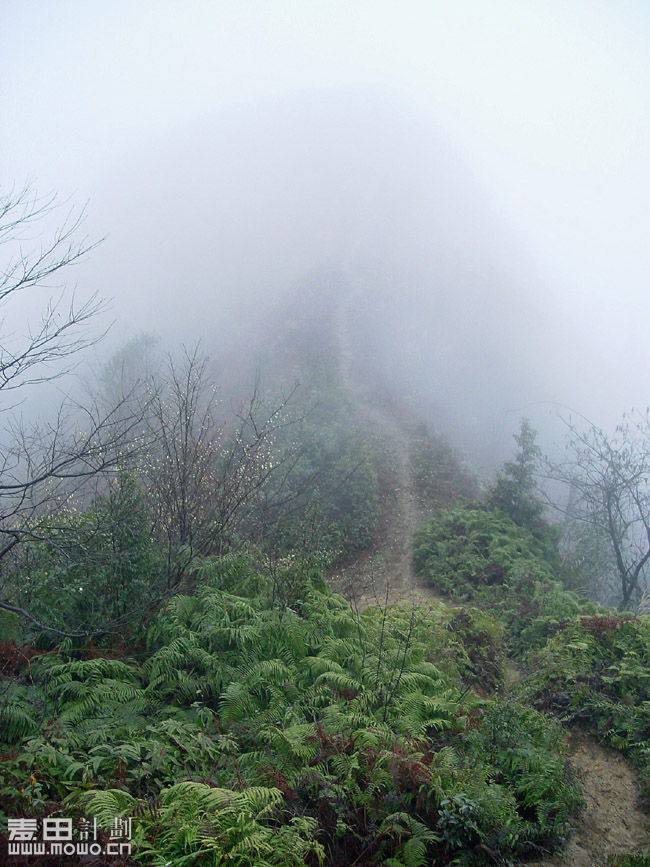 四川马边 麦想之旅