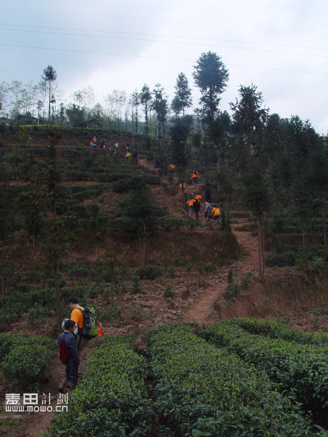四川马边 麦想之旅