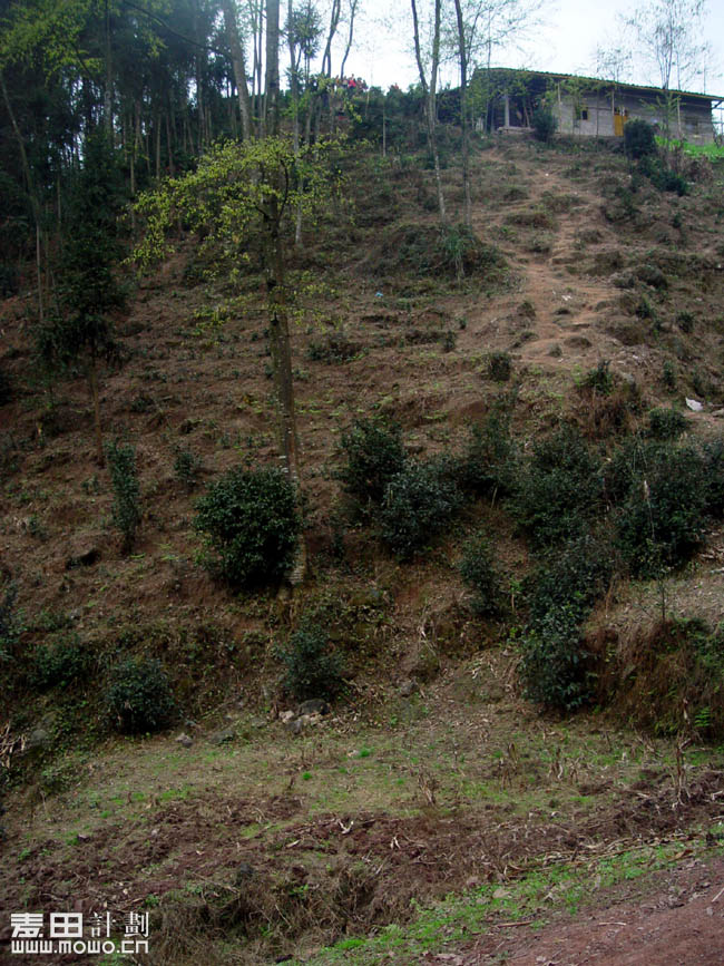 四川马边 麦想之旅