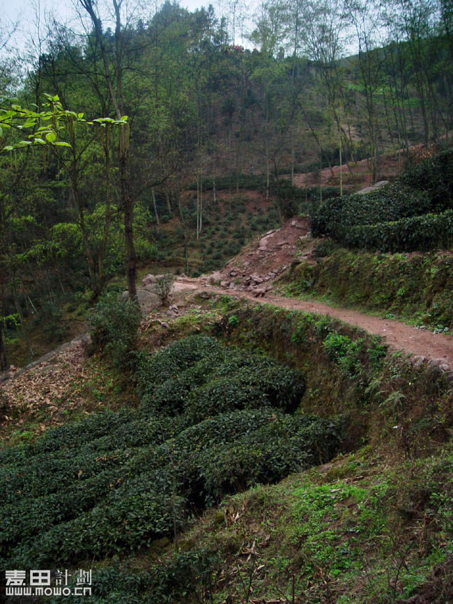 四川马边 麦想之旅