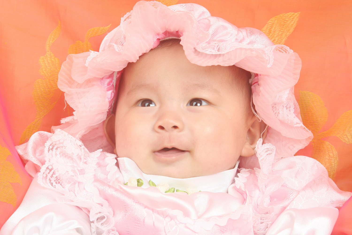 秀秀我家的宝贝