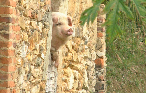 说你呢?在看撒啊!口水流一地........