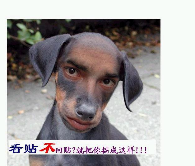 看帖不回滴下场.........小样看你还拽毛!!!