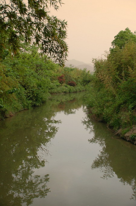 [原创]西溪之湿地