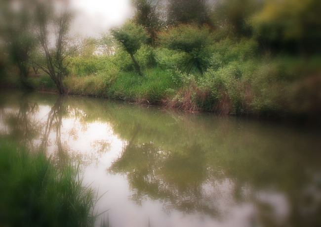 [原创]西溪之湿地