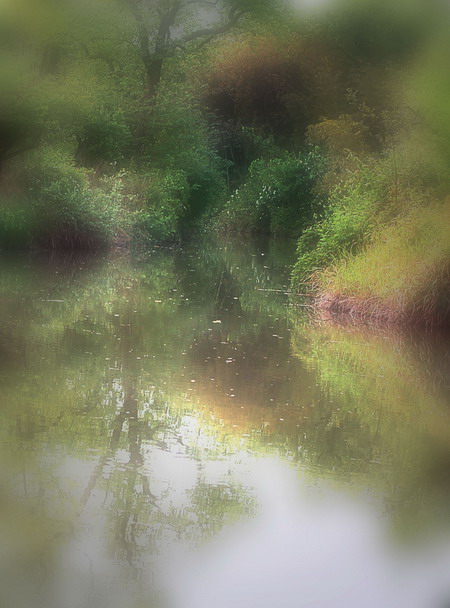 [原创]西溪之湿地