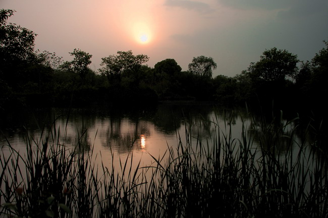 [原创]西溪之湿地