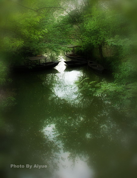 [原创]西溪之湿地