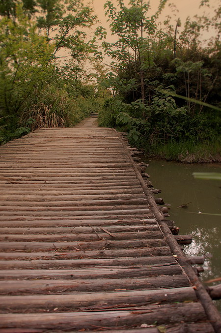 [原创]西溪之湿地