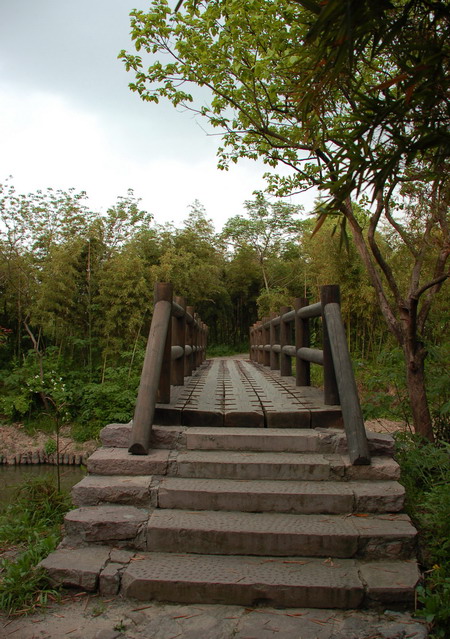[原创]西溪之湿地