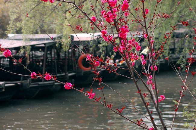 [原创]水乡南浔