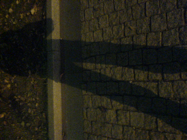 [贴图]发自拍喽 西西~~~