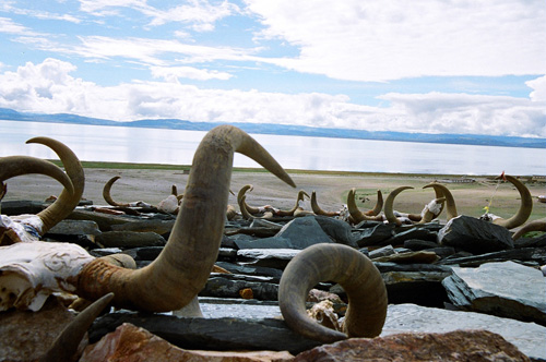 [原创]屋脊的屋脊