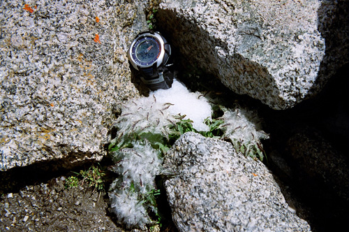 [原创]屋脊的屋脊
