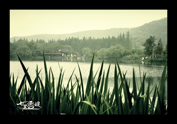 『 七里香堤。』