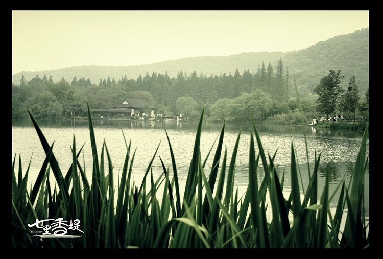 『 七里香堤。』