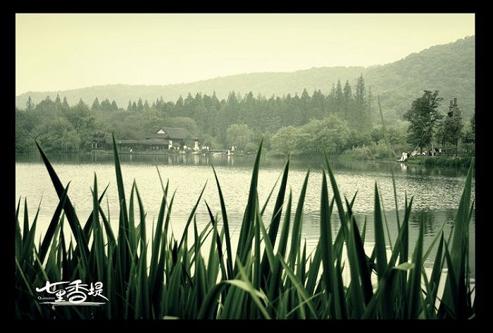 『 七里香堤。』