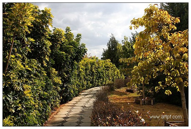 彩云之南----大理古城