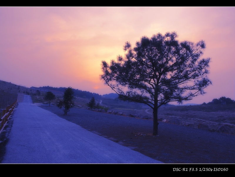 [原创]出差溧阳,交张作业!