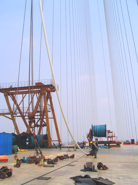 [组图]今天去了趟苏通大桥工地