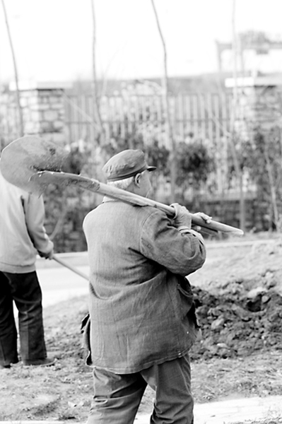 [原创]＝＝＝＞【 给劳动者 】＜＝＝＝
