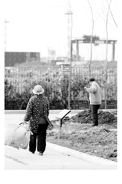 [原创]＝＝＝＞【 给劳动者 】＜＝＝＝