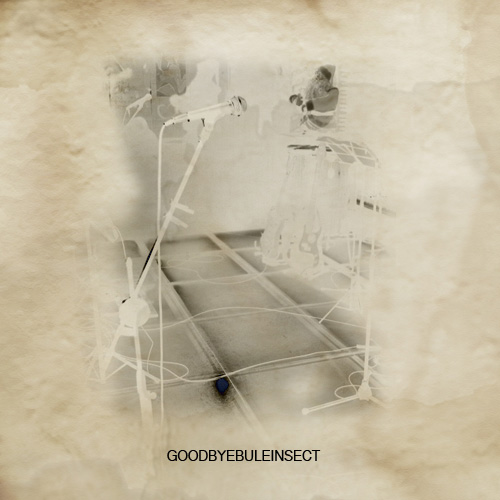 【GoodByeBULEInsect】