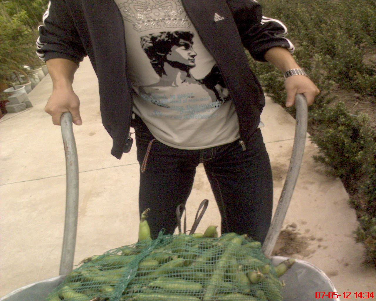 猜猜此人是谁？在干什么？