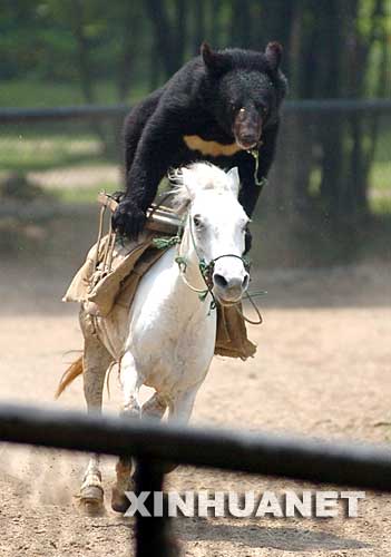 真简单  你们来试试
