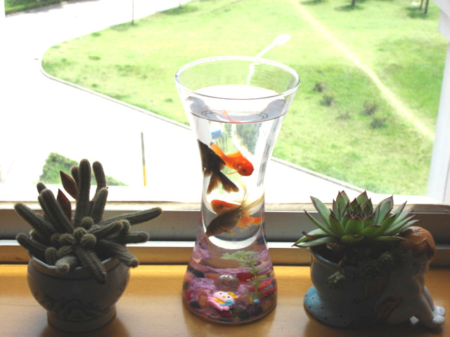 自拍,,,,真是如鱼得水....哈哈