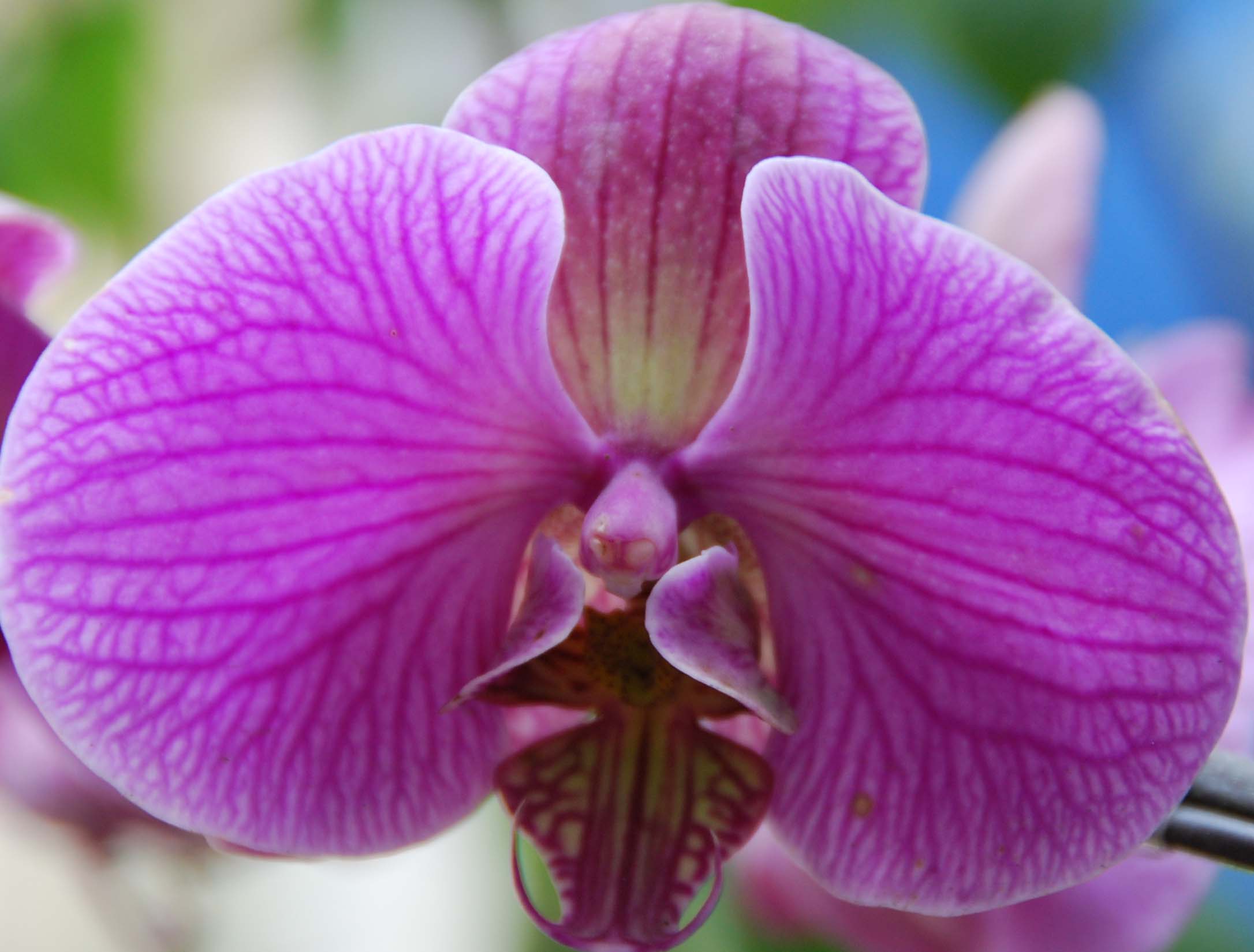 刚试机的片子,猜猜是什么机子拍的???