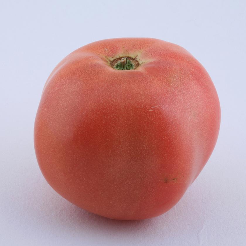 自制静物箱试机