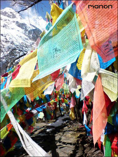 [原创]面朝梅里，春暖花开