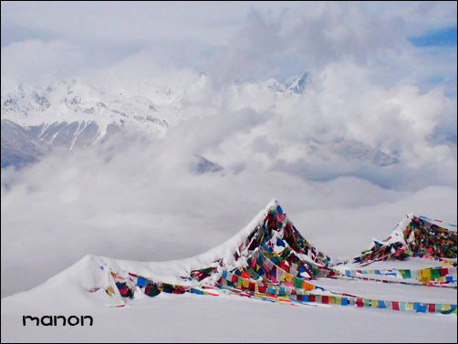 [原创]面朝梅里，春暖花开