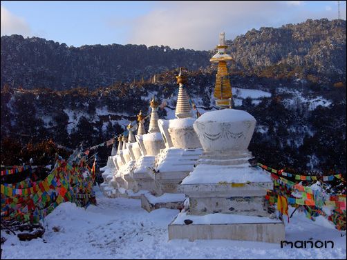 [原创]面朝梅里，春暖花开