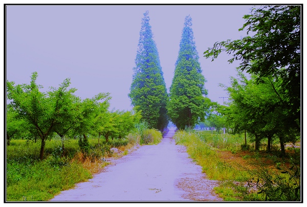 [原创]开沙岛风光.