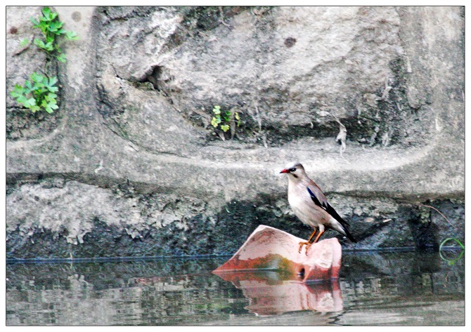 向古亘大侠请教！