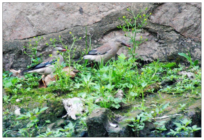 向古亘大侠请教！