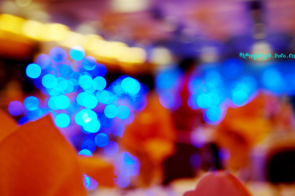 [原创]＝＝＝＞【 Always 】＜＝＝＝婚礼跟拍