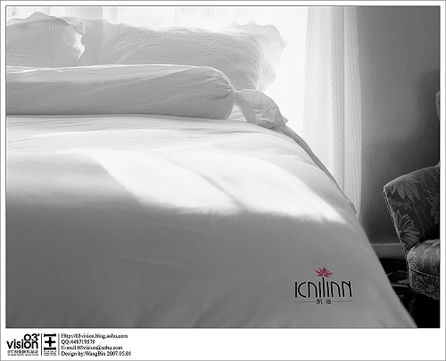 [原创]03vision拙作