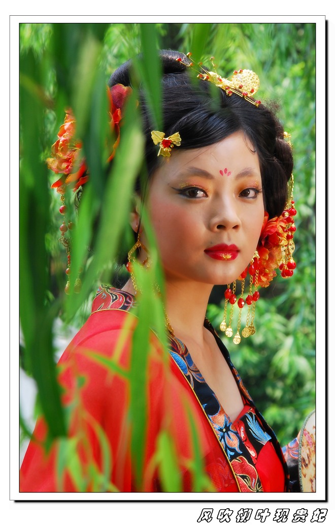 [原创]柳叶贵妃