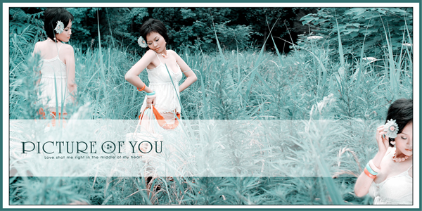 [原创]迷迭香-------------公主婚纱摄影