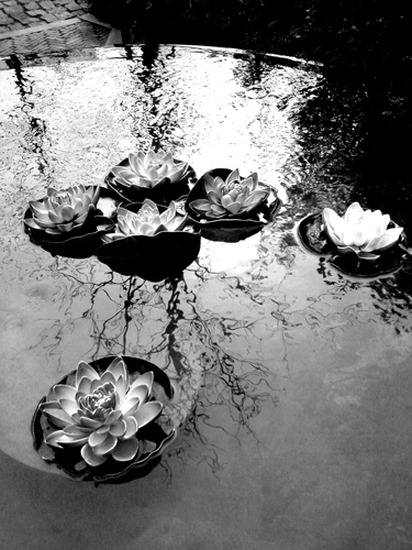 关于杭州的一些退色的记忆