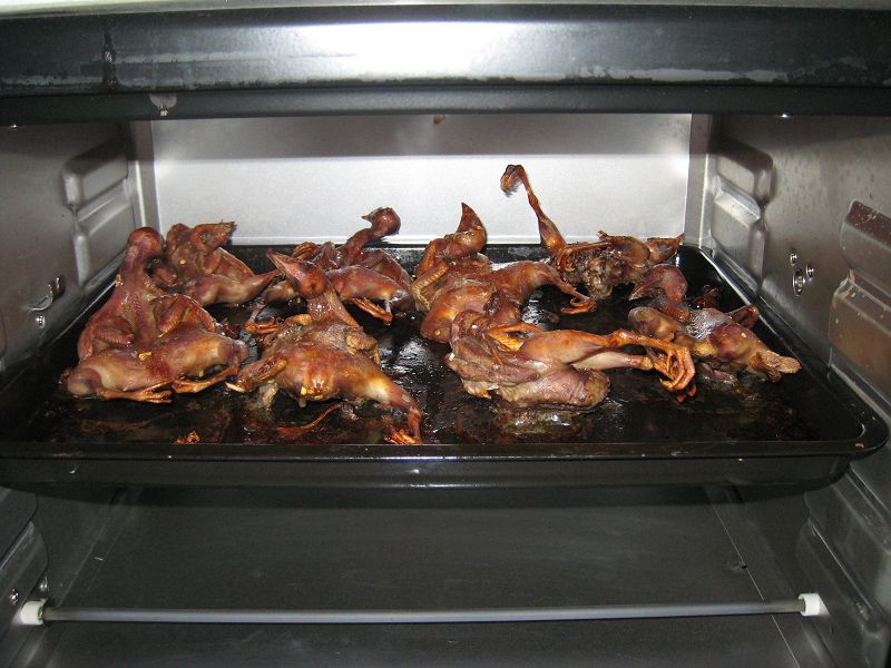 开饭了，看看我烤鹌鹑！～