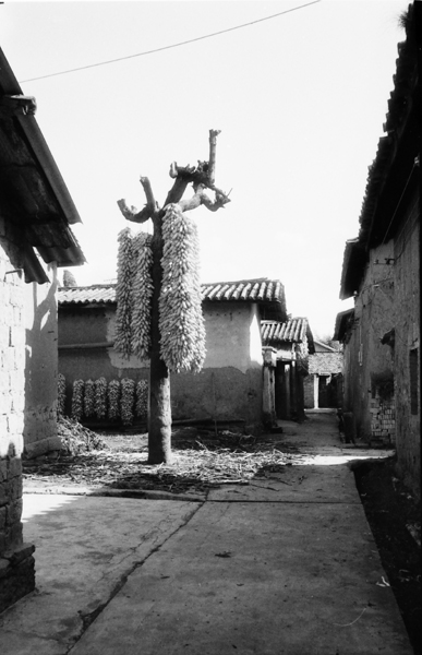 [原创]黑白映画之阿拉乡