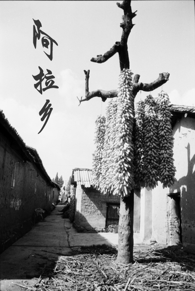 [原创]黑白映画之阿拉乡