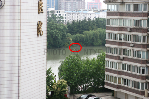 【濠河发现不明生物】