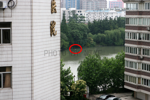 【濠河发现不明生物】