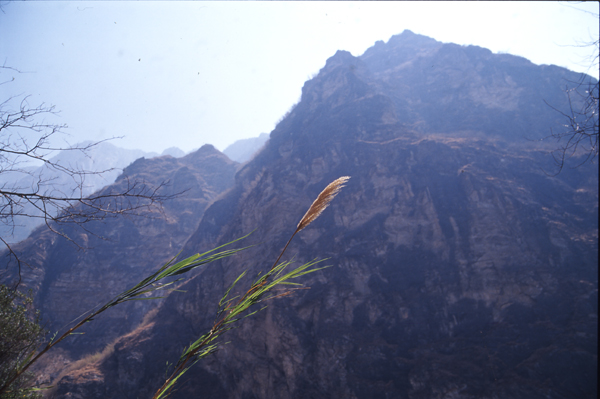 [原创]红土地上的恋曲系列之--云南丽江